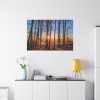 91638-688.jpg Sun and Trees Standard Canvas