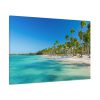 91638-691.jpg Palm Trees On The Beach Standard Canvas