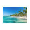 91638-692.jpg Palm Trees On The Beach Standard Canvas