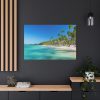 91638-694.jpg Palm Trees On The Beach Standard Canvas