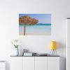 Parasol On The Beach Standard Canvas