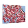 Japanese Cherry Tree Standard Canvas