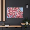 Japanese Cherry Tree Standard Canvas