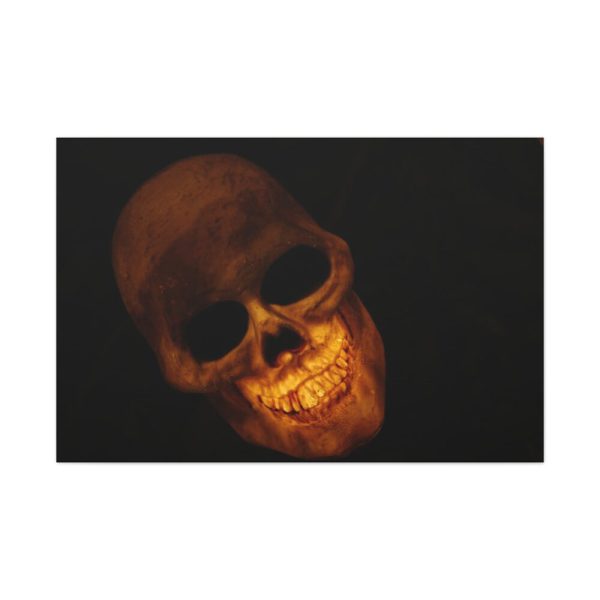 91638-76.jpg Human Skull in Dark Standard Canvas