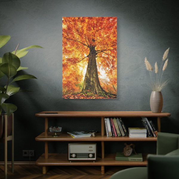 91655-134.jpg Beech With Autumn Leaves Standard Canvas