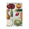 91655-141.jpg Rawson's Vegetable and Flower Seeds Standard Canvas