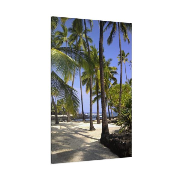 91655-155.jpg Hawaii City Refuge Hawaiian Standard Canvas