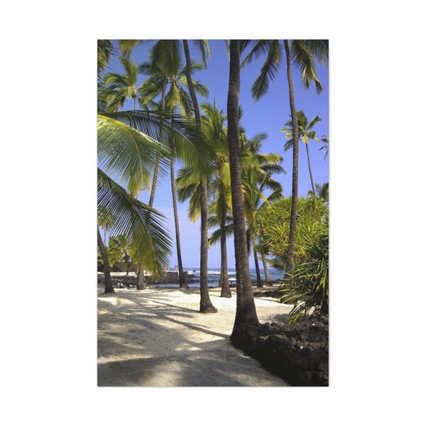 91655-156.jpg Hawaii City Refuge Hawaiian Standard Canvas