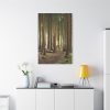 91655-177.jpg Trees in Forest Standard Canvas