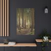 91655-178.jpg Trees in Forest Standard Canvas