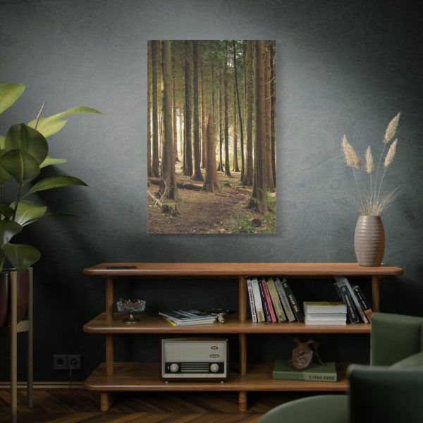 91655-179.jpg Trees in Forest Standard Canvas