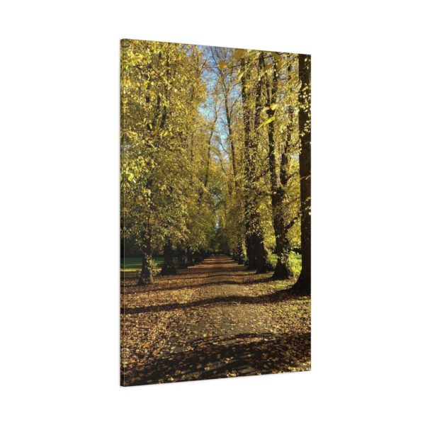91655-200.jpg Yellow Fallen Leaves From Trees Standard Canvas