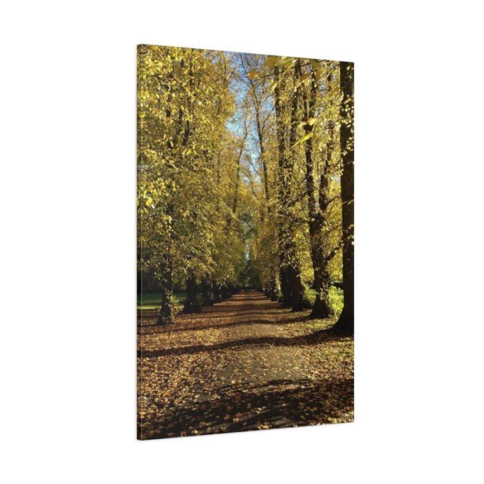 Yellow Fallen Leaves From Trees Standard Canvas - Image 1