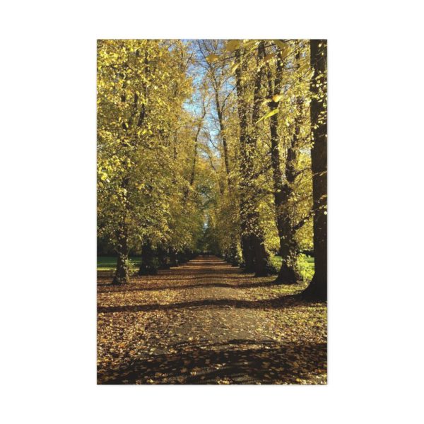 91655-201.jpg Yellow Fallen Leaves From Trees Standard Canvas