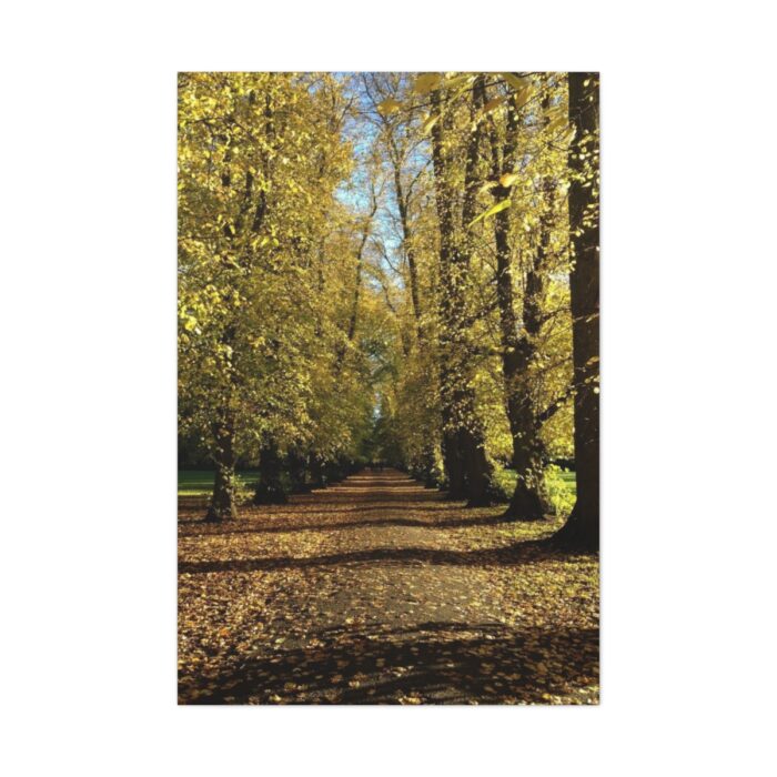 Yellow Fallen Leaves From Trees Standard Canvas - Image 2