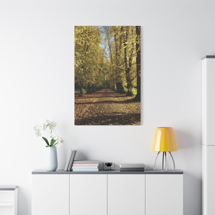 Yellow Fallen Leaves From Trees Standard Canvas - Image 3