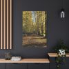 91655-203.jpg Yellow Fallen Leaves From Trees Standard Canvas