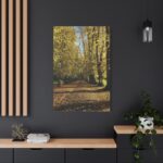 Yellow Fallen Leaves From Trees Standard Canvas - Image 4