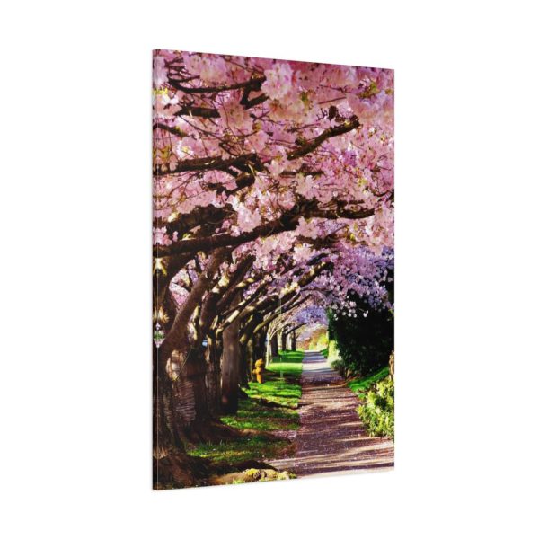 91655-210.jpg Blossoms Cherry Standard Canvas