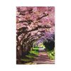 91655-211.jpg Blossoms Cherry Standard Canvas