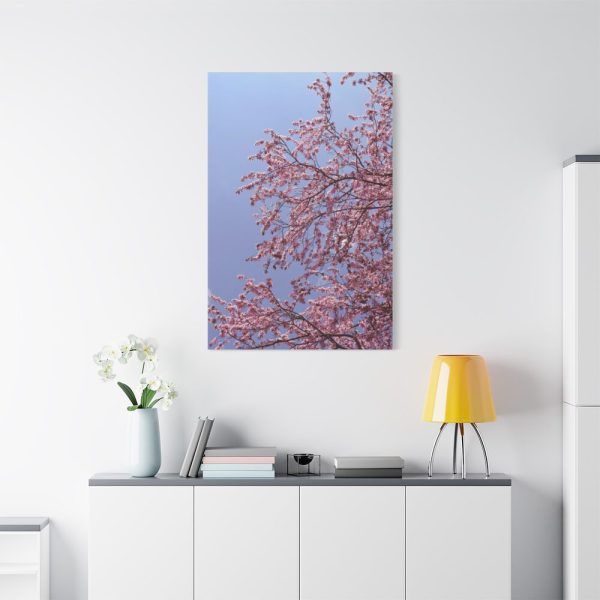 91655-217.jpg Pink Tree Blossom Standard Canvas