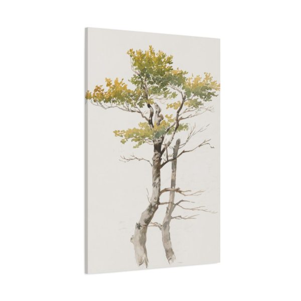 91655-65.jpg Study of Deciduous Tree by Friedrich von Scheidlin Standard Canvas