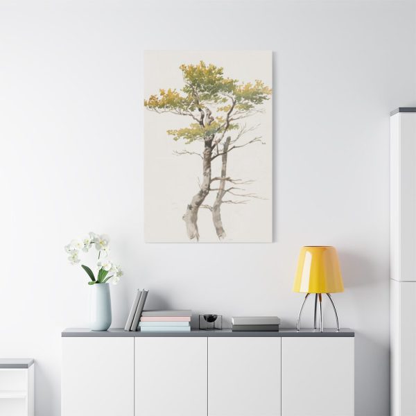 91655-67.jpg Study of Deciduous Tree by Friedrich von Scheidlin Standard Canvas