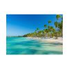 92368-10.jpg Palm Trees On The Beach Poster