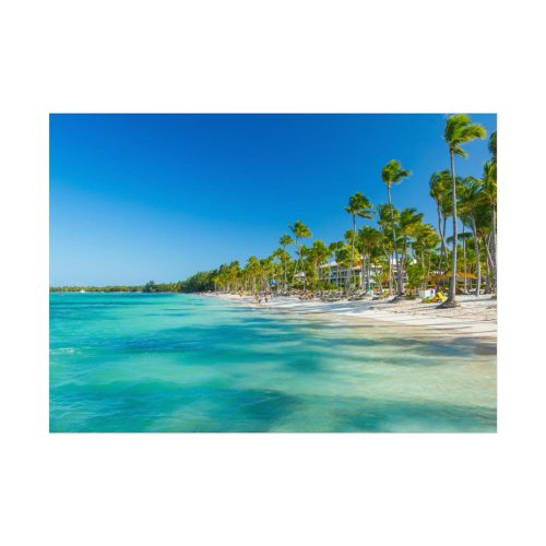 Palm Trees On The Beach Poster