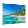 92368-12.jpg Palm Trees On The Beach Poster