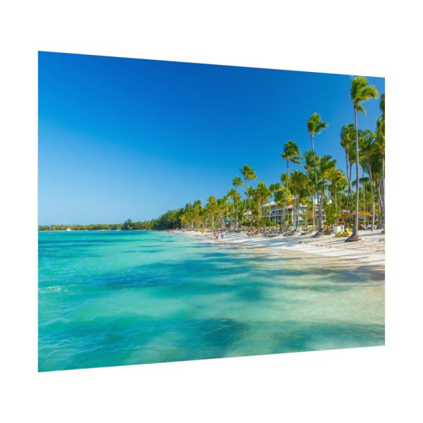 92368-12.jpg Palm Trees On The Beach Poster