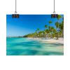 92369-11.jpg Palm Trees On The Beach Poster