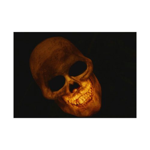 Human Skull in Dark Poster