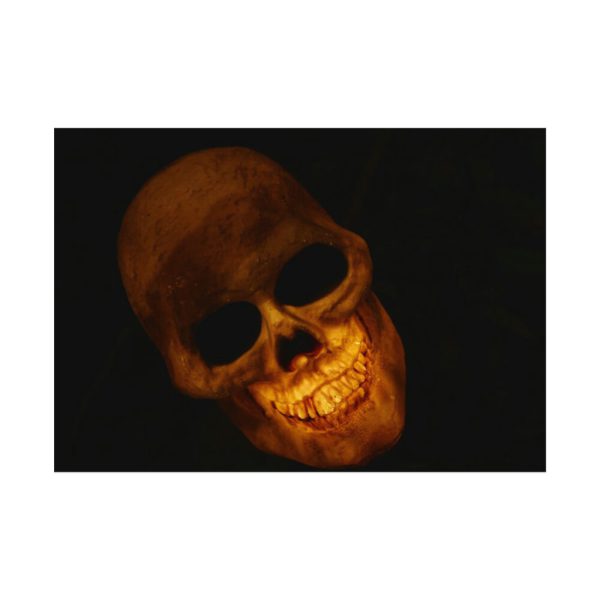 92408-115.jpg Human Skull in Dark Poster