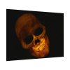 92408-117.jpg Human Skull in Dark Poster