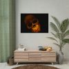 92408-118.jpg Human Skull in Dark Poster