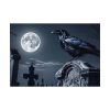 92408-195.jpg Raven Crow Gravestones Full Moon Poster