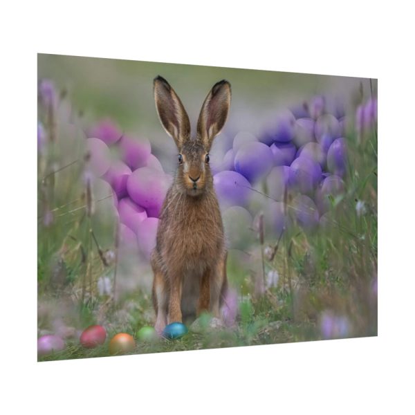 Easter Bunny Poster