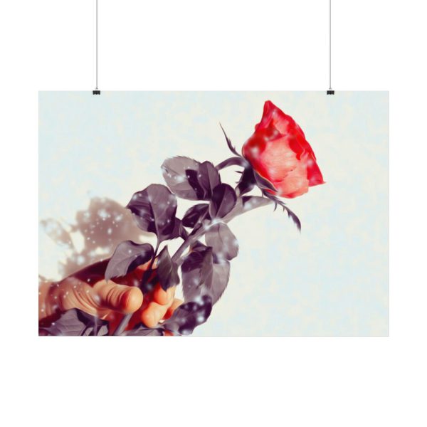 92408-31.jpg Rose Gift Flowers Poster