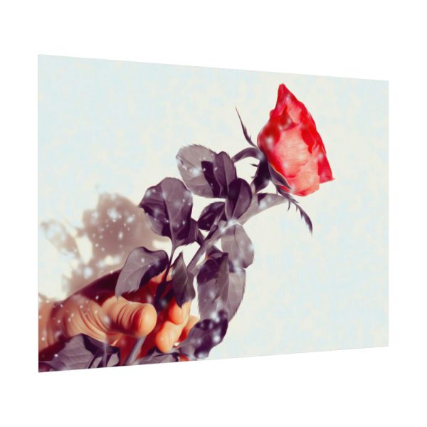 92408-32.jpg Rose Gift Flowers Poster