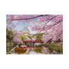 92408-325.jpg Cherry Blossom in Japan Poster