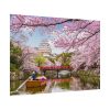 92408-327.jpg Cherry Blossom in Japan Poster