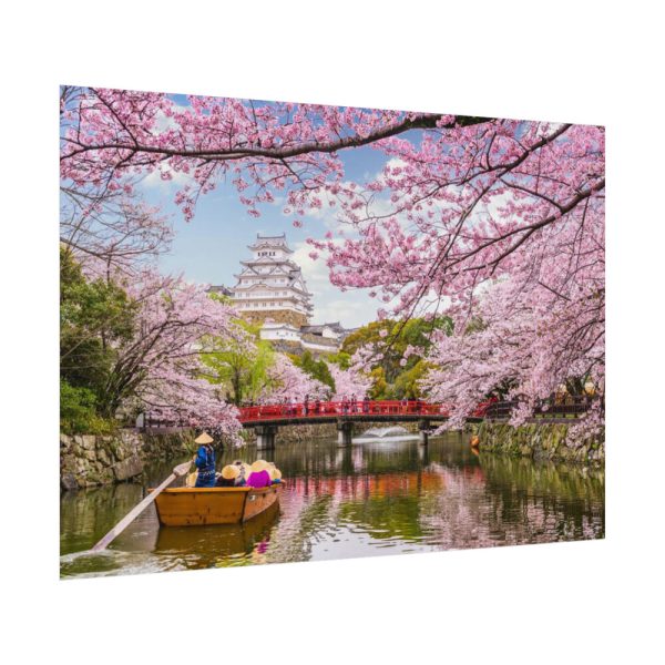 92408-327.jpg Cherry Blossom in Japan Poster