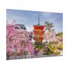 92408-332.jpg Cherry Blossom in Tokio Poster