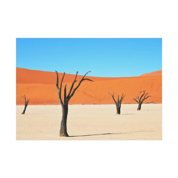 92408-345.jpg Dead Tree on Desert Poster