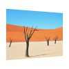 92408-347.jpg Dead Tree on Desert Poster