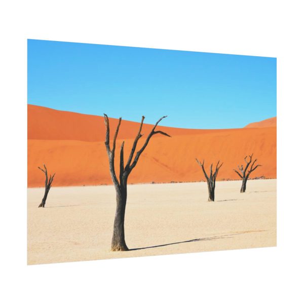 92408-347.jpg Dead Tree on Desert Poster