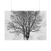 92408-396.jpg Vintage Tree Poster