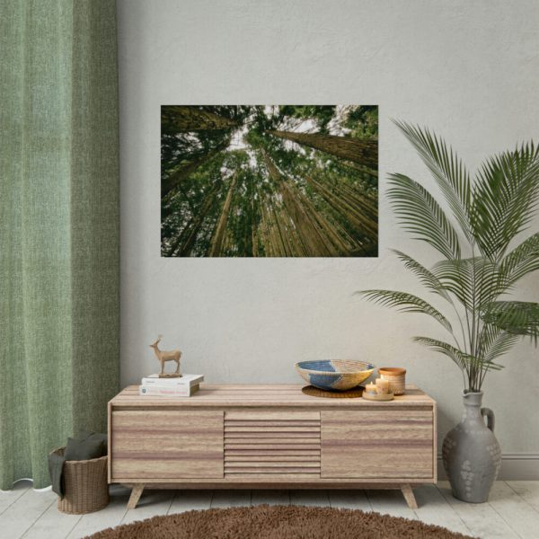 92408-438.jpg Perspective Tall High Up Trees Poster