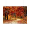 92408-441.jpg Fall Autumn Red Season Woods Poster